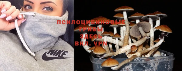 стафф Михайловка