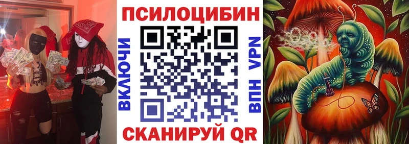 наркотики Чишмы Галлюциногенные грибы Psilocybine cubensis